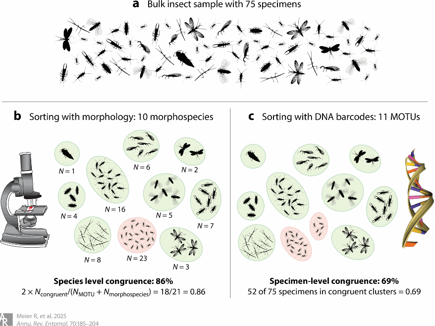 Match ratio and specimen congruence figure